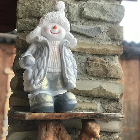 зелена у томаша Vyshka
